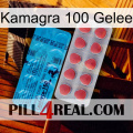 Kamagra 100 Jelly new14